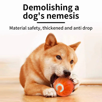 Indestructible dog ball